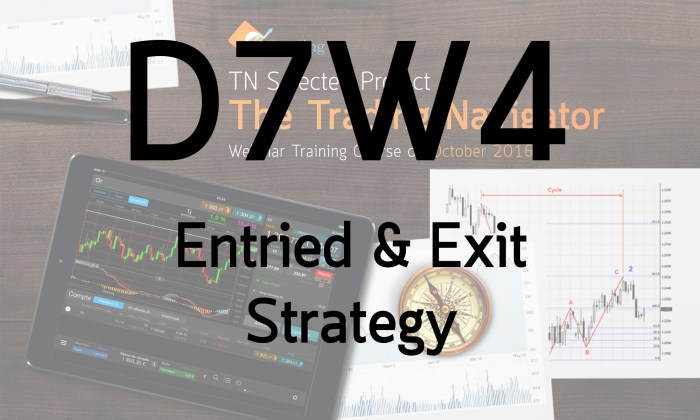 d7w4-entrieexit