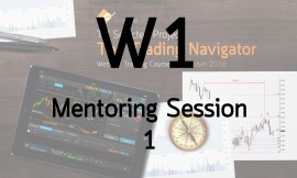 w1-mentor1