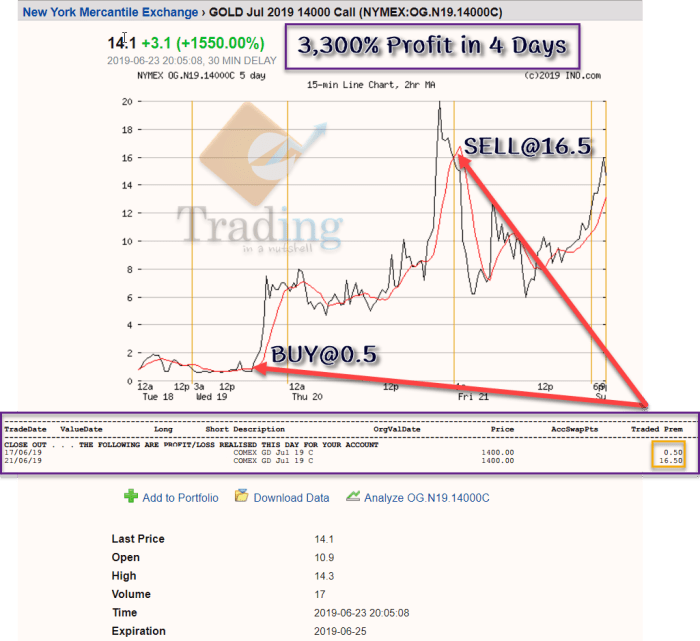 OPTION Pendulum Concept Case Study